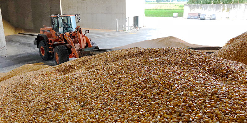 Raccolta Cereali
